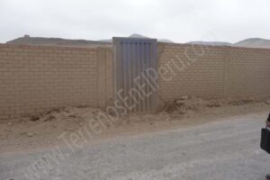 P1040696 - copia