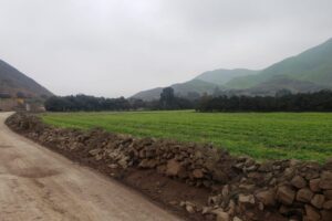 lote residencial en Pachacamac