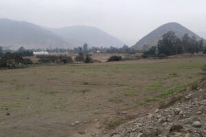 IMG-20210705-WA0047