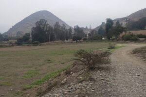 venta de terrenos Pachacamac