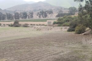 IMG-20210705-WA0051