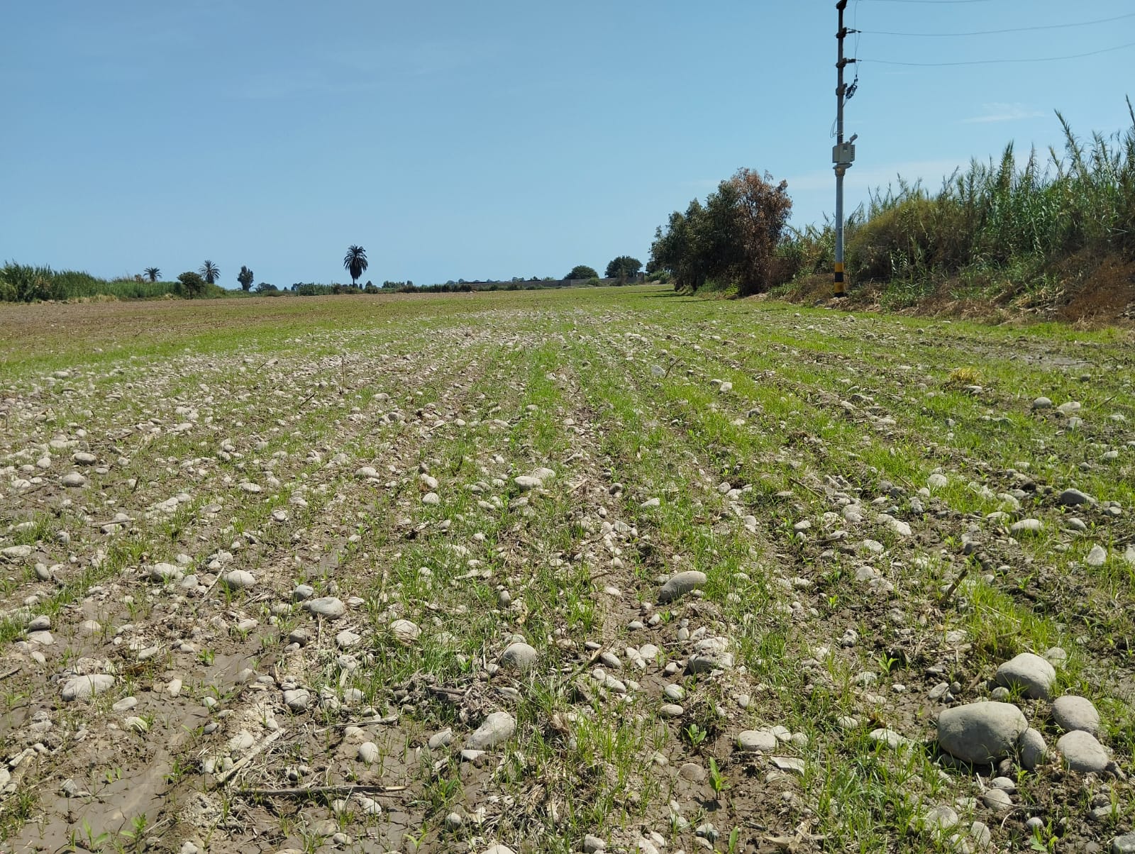 Terreno en Pisco 70,000 m2 con Agua