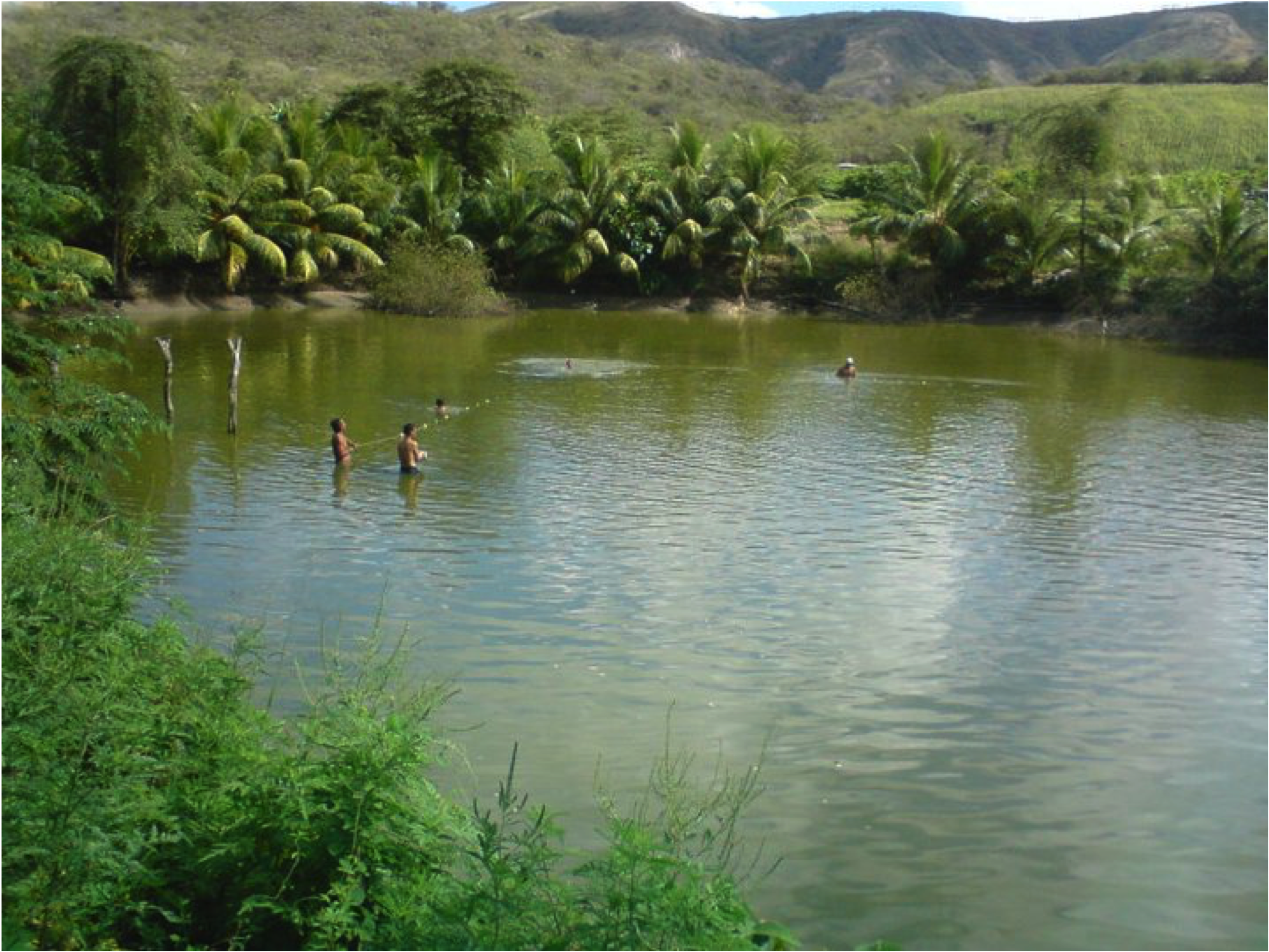 Terrenos en Amazonas 7 has con agua y 15 has sin agua con Noni en Producción