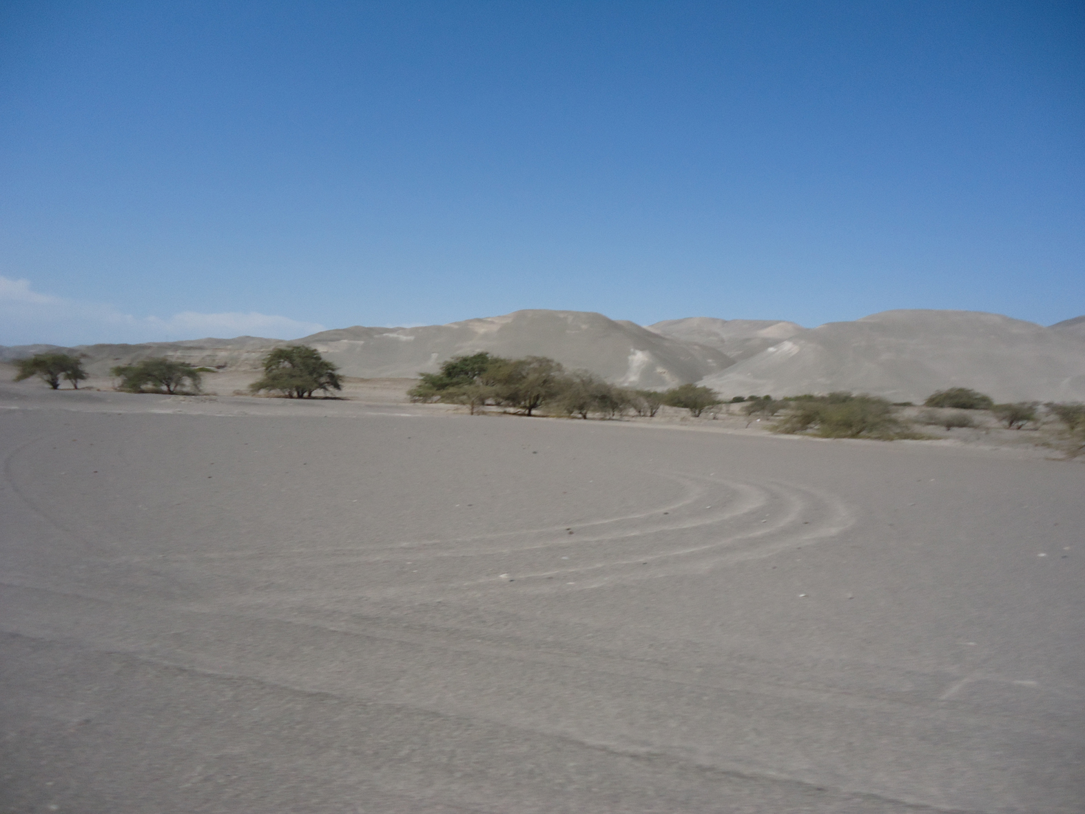 agricultura en nazca