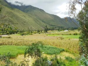TERRENO EN CUSCO