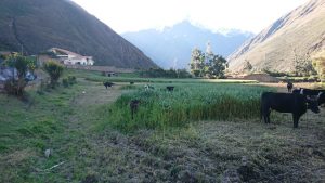 TERRENO EN CUSCO