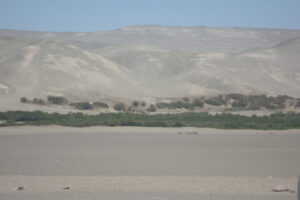 9.- Fundo9
