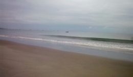 WhatsApp Image 2026-03-29 at 7.55.20 AM